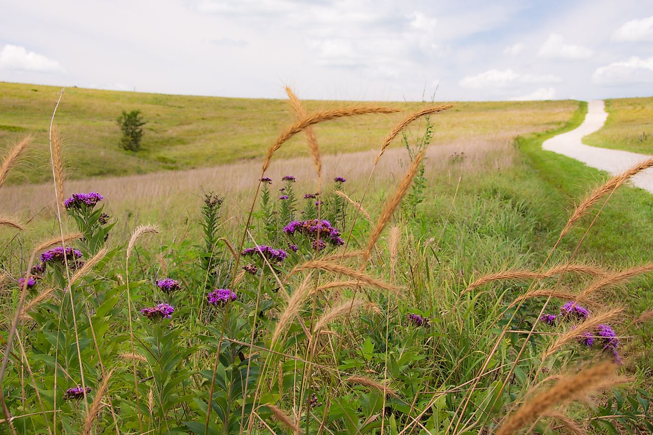 The Flint Hills in Kansas are the gateway to the Tallgrass Prairie National Preserve.