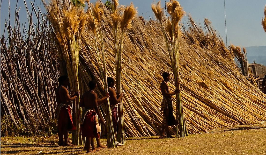 The Umhlanga Reed Dance Ceremony in Lobamba, Swaziland. Editorial credit: Homo Cosmicos / Shutterstock.com