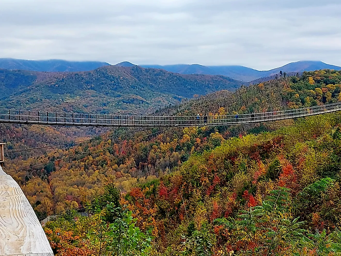Fall foliage from Skybridge Park in Gatlinburg, Tennessee