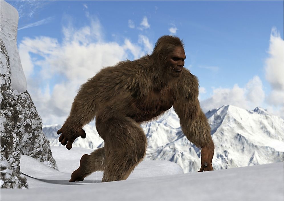 Cryptozoologists have studied the existence of Bigfoot.