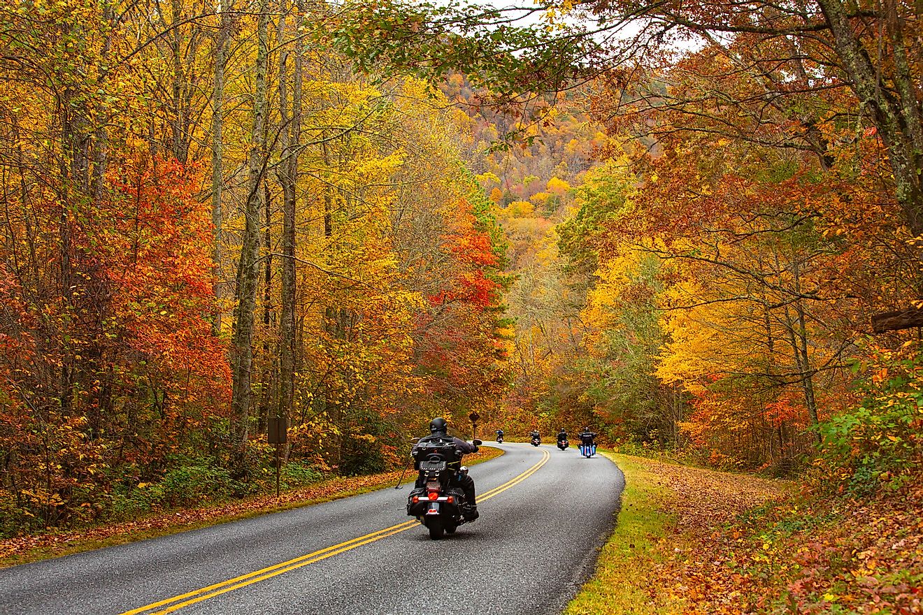 Fall foliage lining the Blue Ridge Parkway in Virginia.