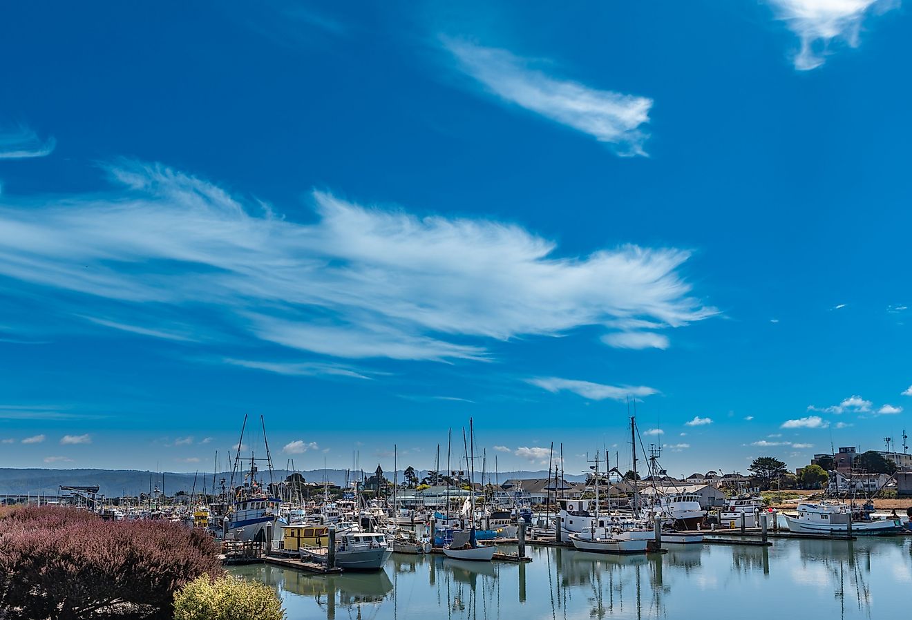 Woodley Marina in Eureka, California. 