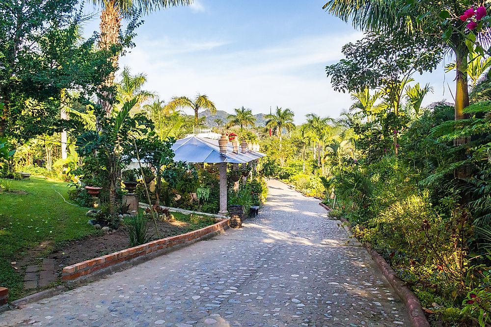 Puerto Vallarta Botanical Garden. 