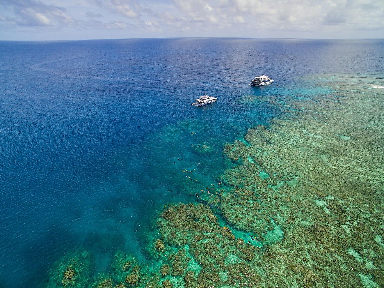 Coral Sea off the coast of Australia