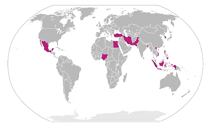 A map showing the Next 11 countries of the world.