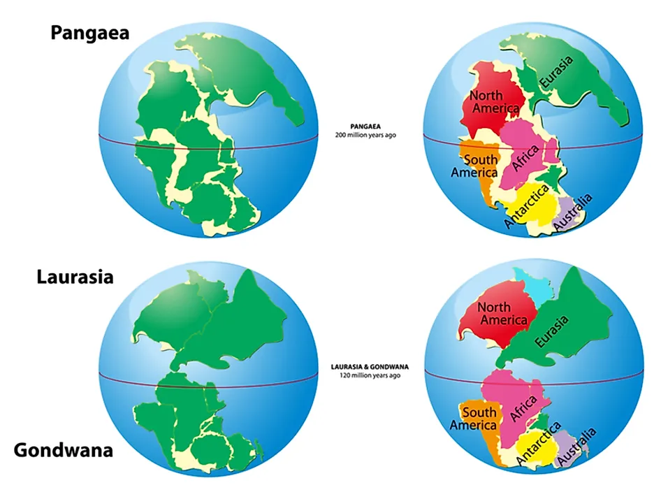 Pangea, Laurasia, and Gondwana are all examples of supercontinents.