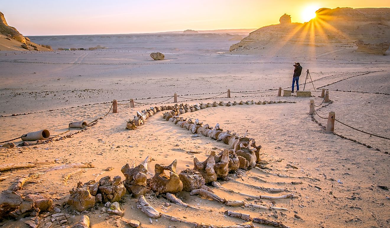 This shot was taken in the Whale Valley, a UNESCO-protected area. By AhmedMosaad - Own work, CC BY-SA 4.0, https://commons.wikimedia.org/w/index.php?curid=67890625