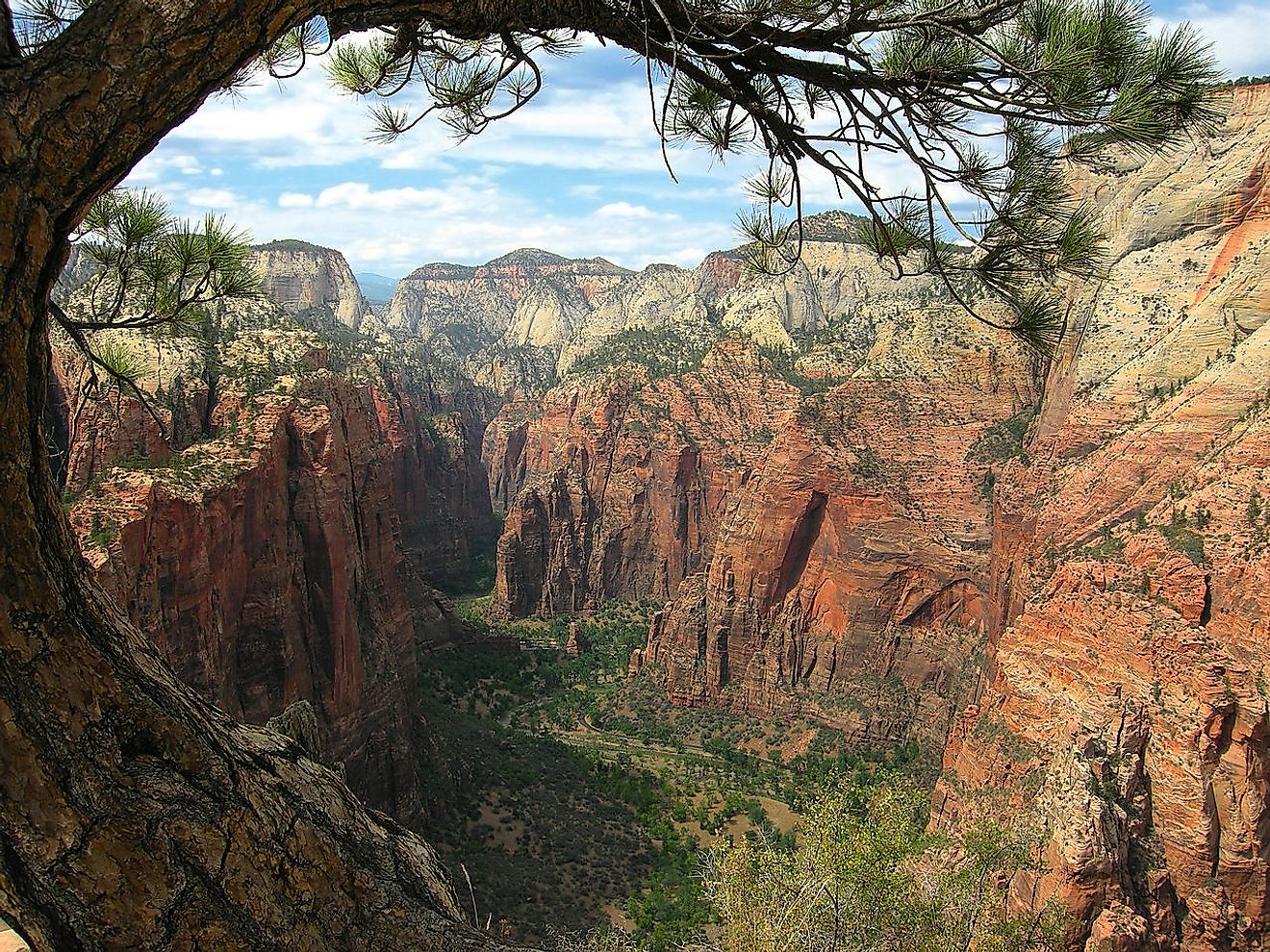 Breathtaking view from the Angels Landing trail looking northward to the Narrows, Zion National Park, Utah, USA. Image credit: Tobias Alt/Wikimedia.org