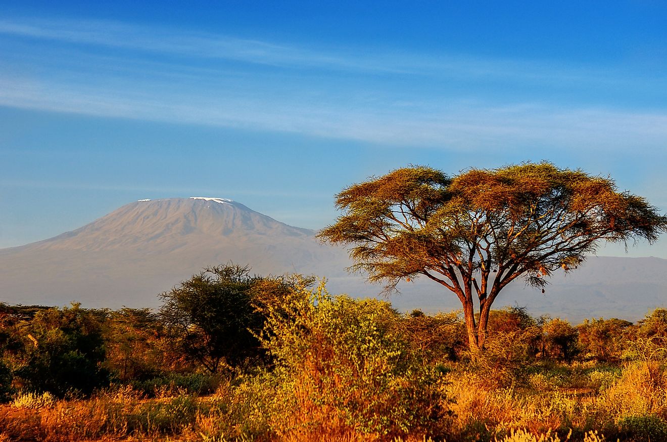 The varied landscapes of Tanzania are home to a number of amphibians. 