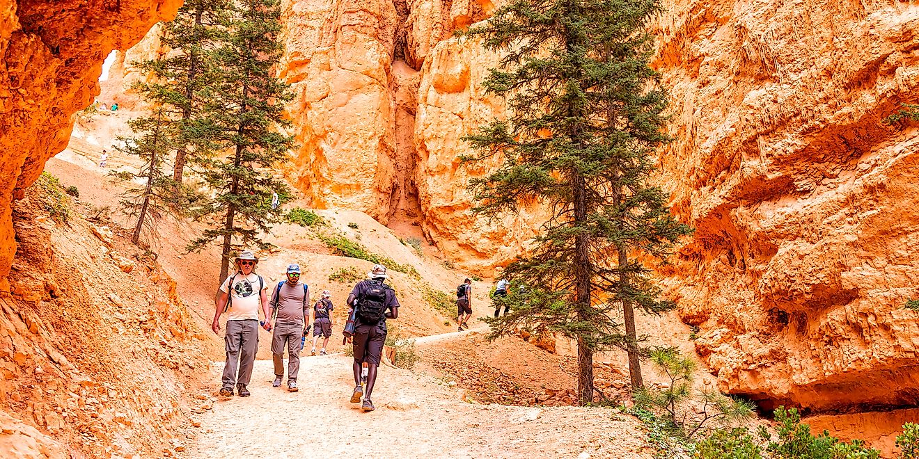 People walking on orange colorful Queens Garden Navajo Loop trail at Bryce Canyon National Park in Utah. - Kristi Blokhin / Shutterstock.com