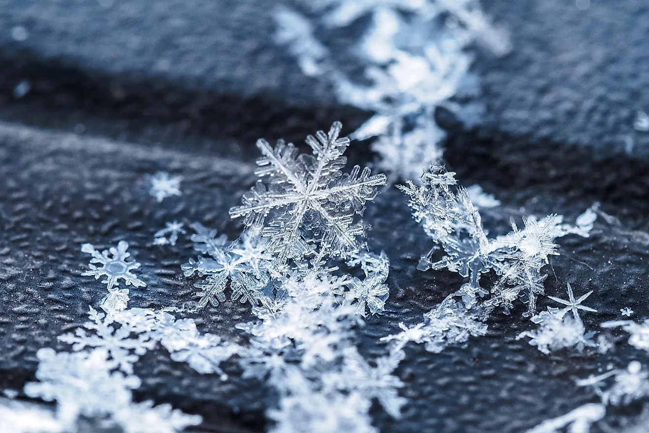 Snowflakes up close.