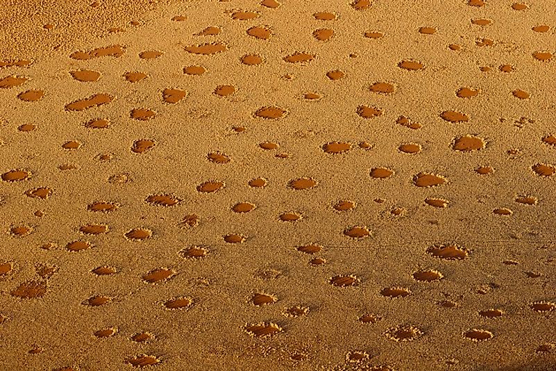 Fairy circles in the Namib Desert.