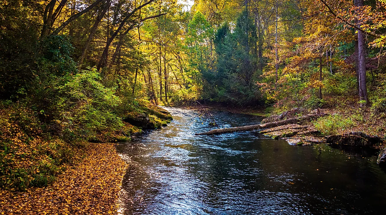 Early autumn color along the Gunpowder River in Gunpowder Falls State Park, Maryland.
