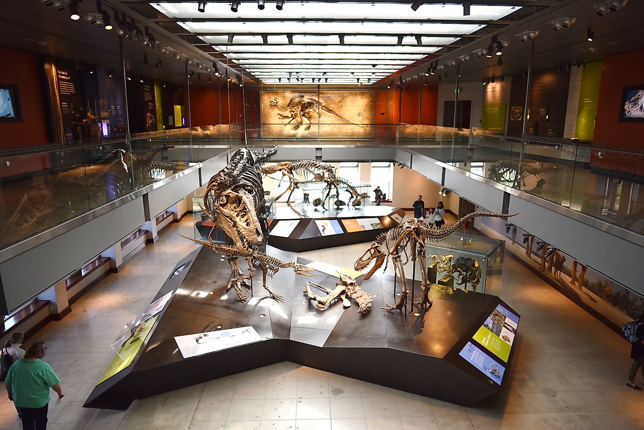 Natural History Museum of Los Angeles County in Los Angeles, California. Image credit: Lee Hari / Shutterstock.com.