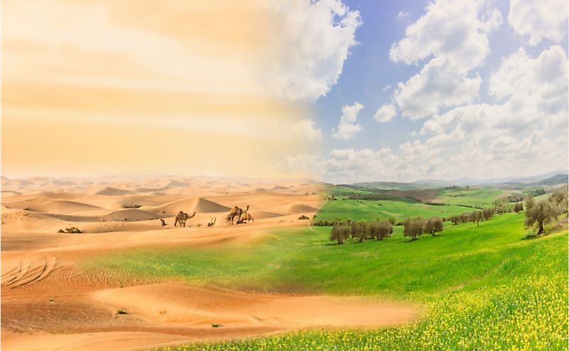 Desertification is one of the worst impact of climate change on life on Earth.