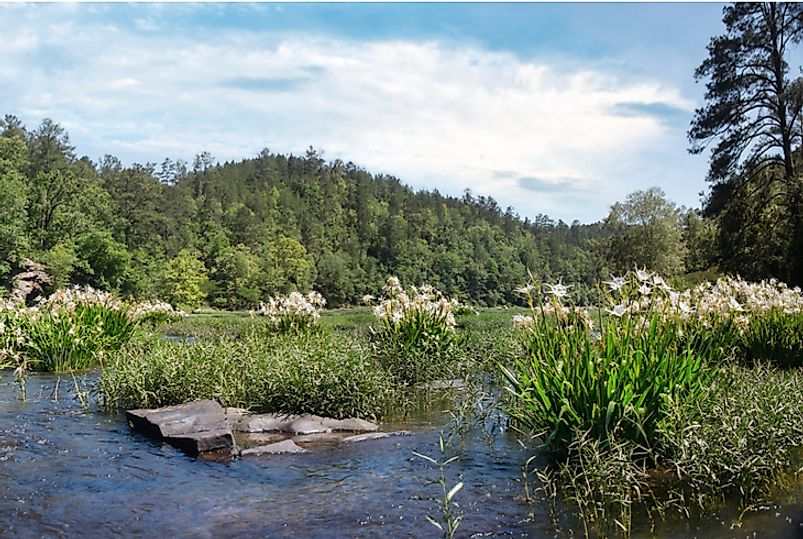 Cahaba lay in a bend where two major rivers, the Alabama River and the Cahaba River, converged.