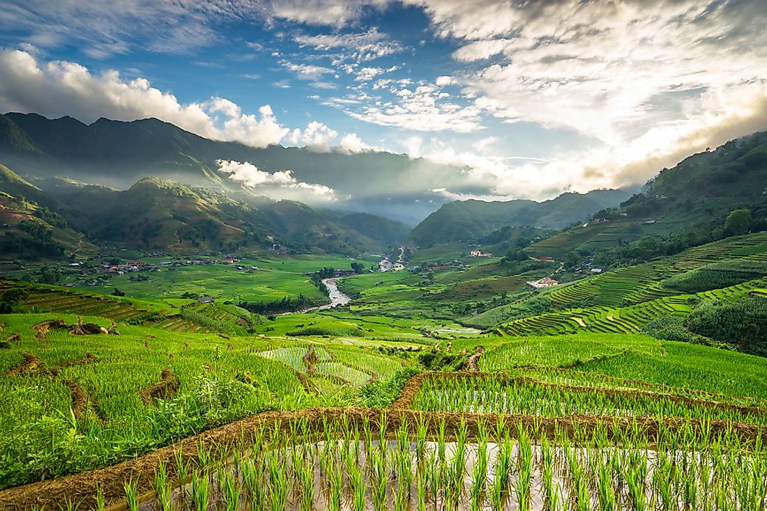 The rice terraces of Sapa, Vietnam. 