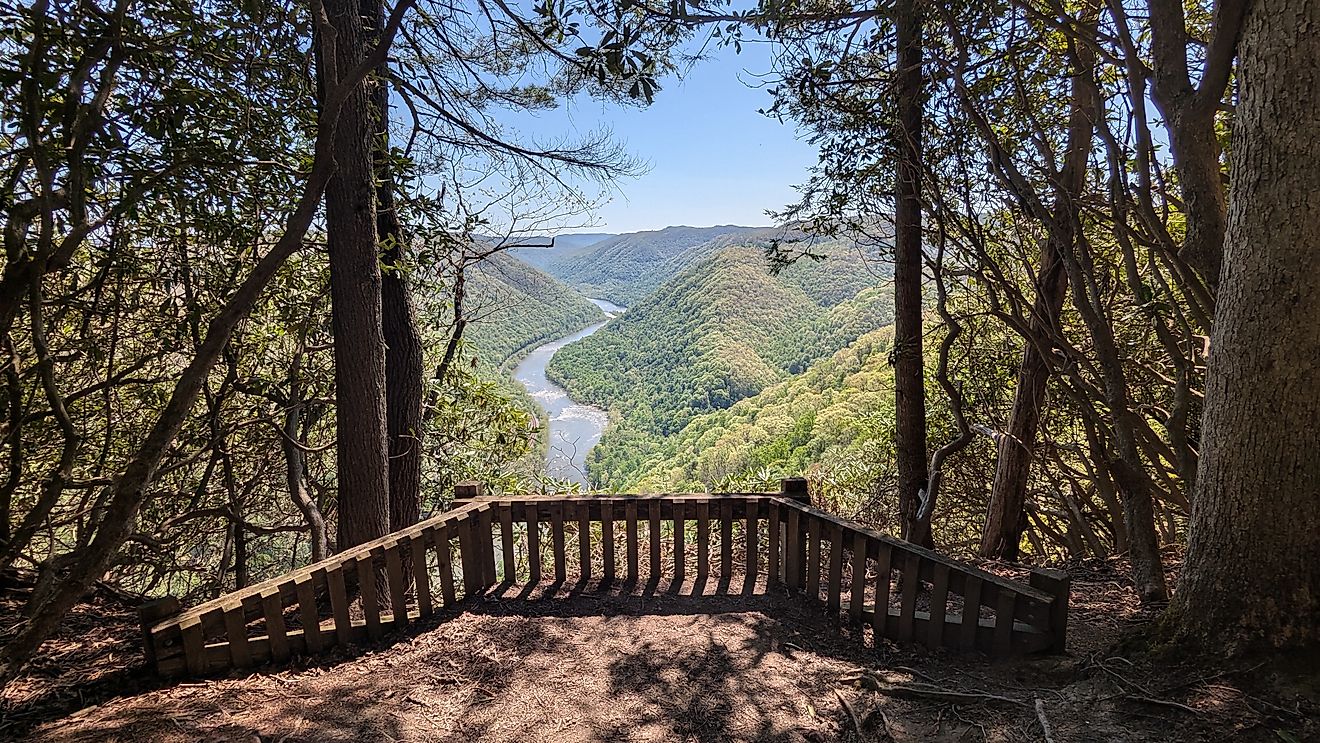 Scenic view of the New River Gorge from the Grandview Rim Trail. 