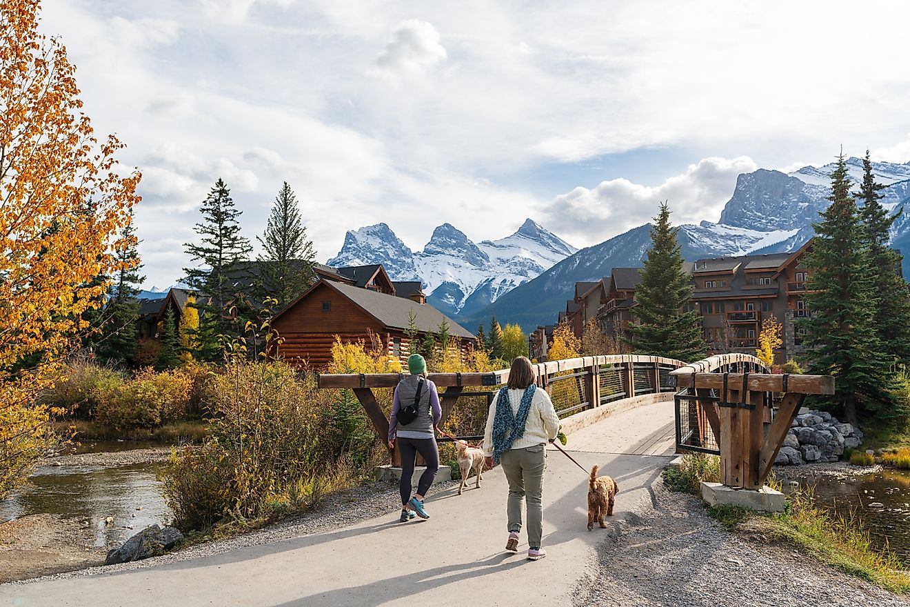 Residents walking their dogs in the town of Canmore during the fall season. 