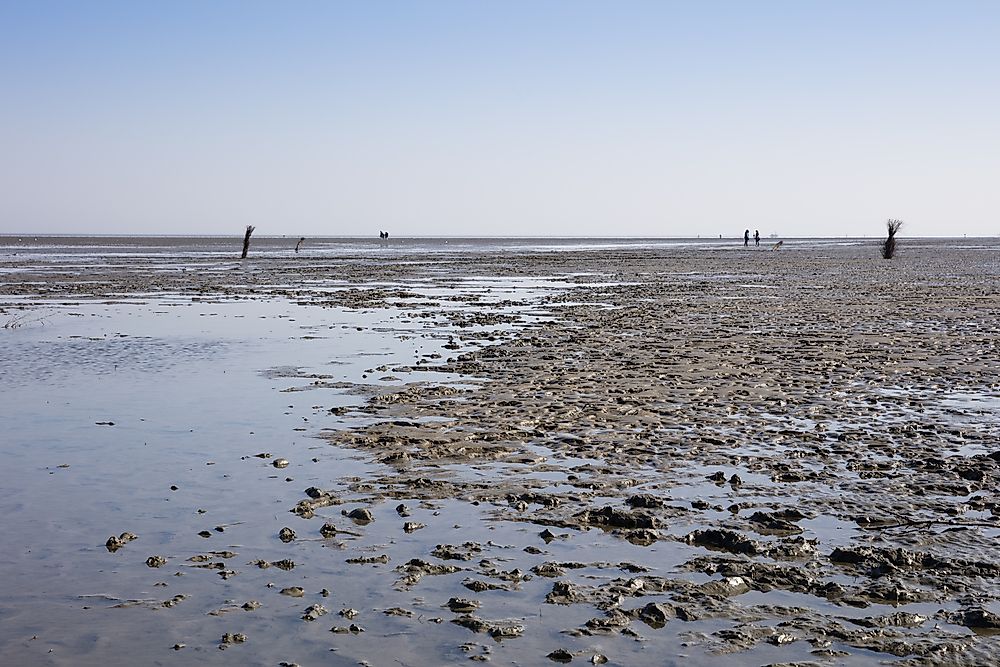 Ebb tide at Lower Saxony Wadden Sea National Park. 