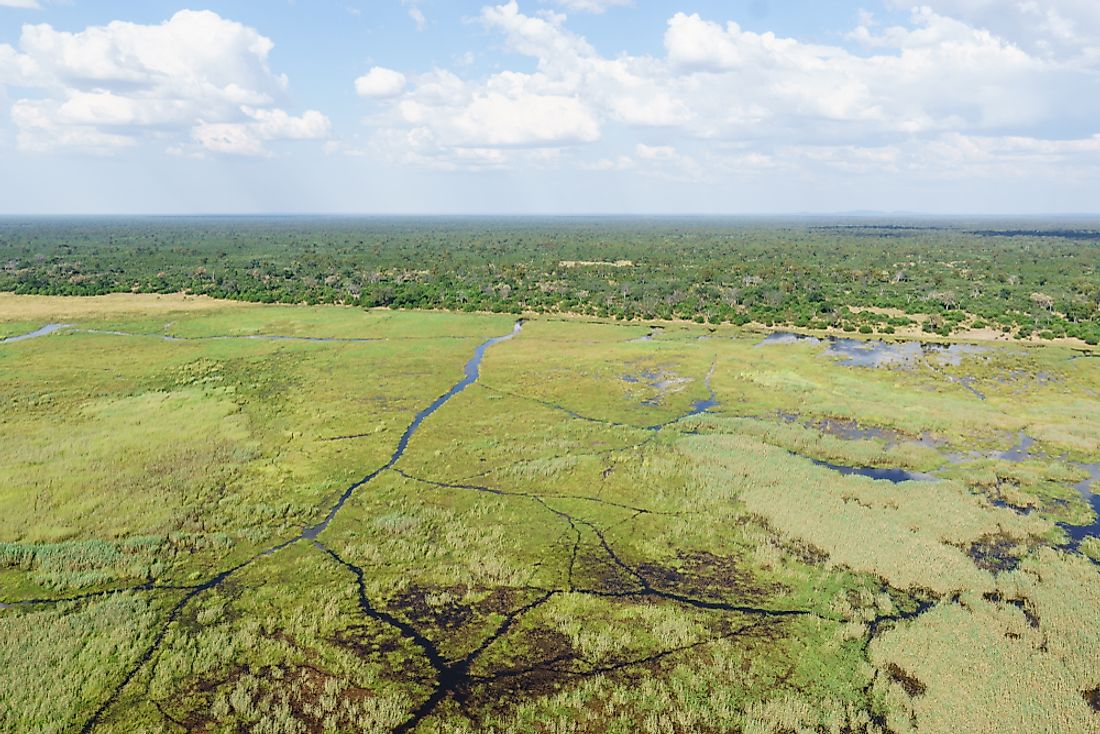 The Miombo Woodlands can be found in Angola. 