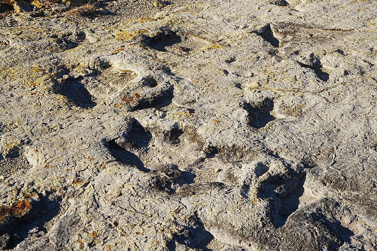 Clayton Lake State Park and Dinosaur Trackways, Clayton, New Mexico. 