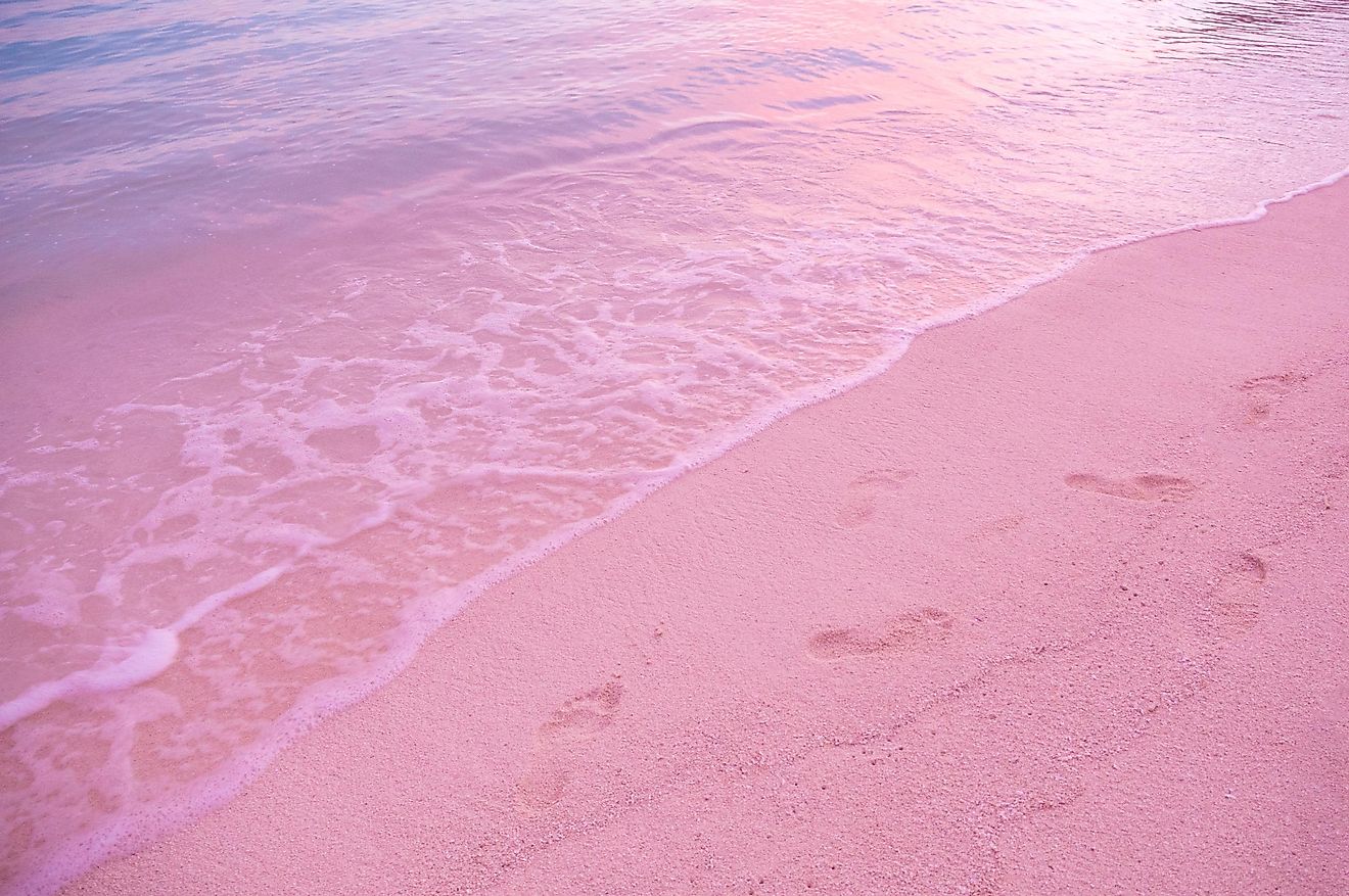 If you ever decide to visit the Bahamas, this beach should be on the list of places you will definitely want to visit.
