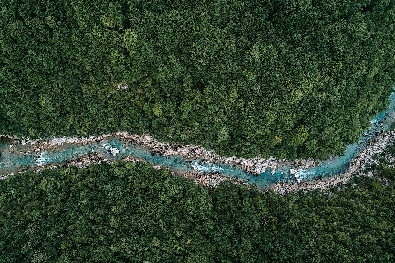 List of 5 Countries with Largest Forests in the World, by Yanuar Hadi