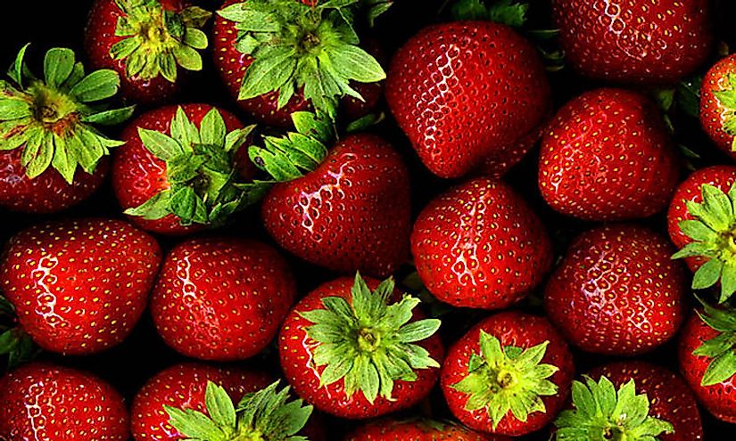 Strawberries are consumed as a delicacy and used widely in ice-creams, milk shakes, etc.