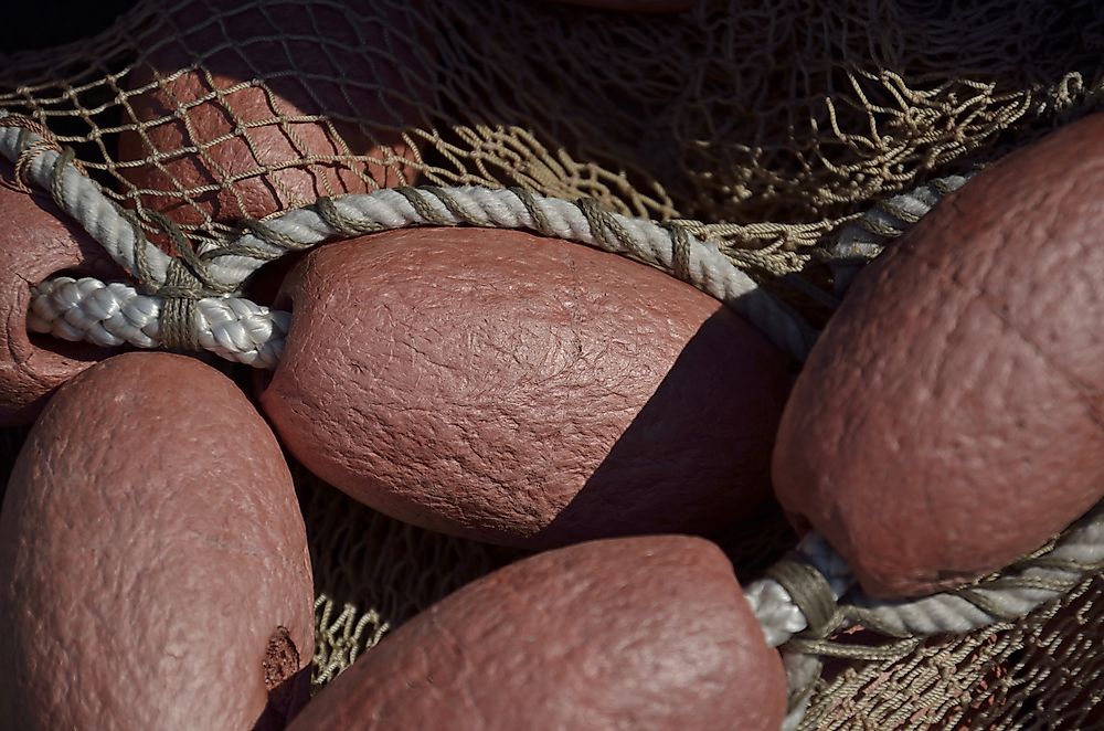 Although there are many different approaches that can be taken to fishing, cyanide fishing is one of the most harmful to the environment and its species.