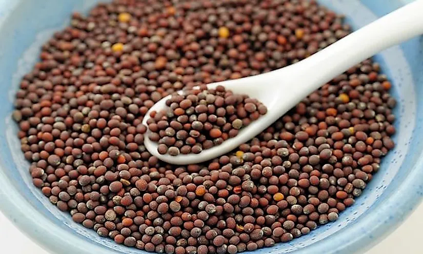 Brown mustard seeds.