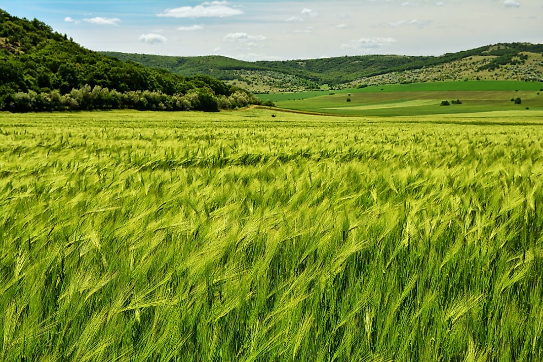 Agriculture is a significant industry in Romania. 