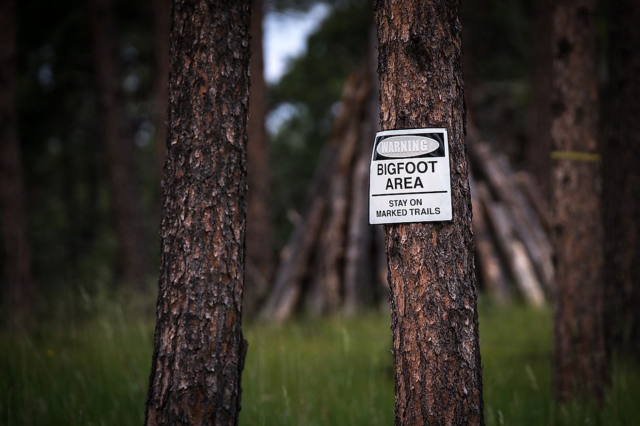 Warning Bigfoot Area. Image credit: CineBlade