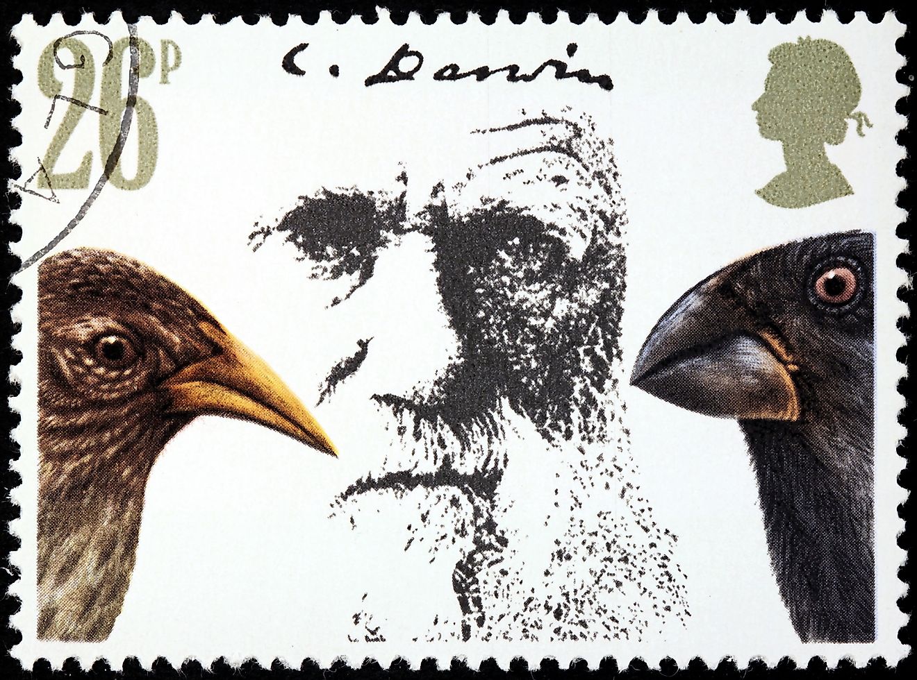 A stamp printed by the UK shows image portrait of English naturalist and geologist Charles Robert Darwin, circa 1982. Image credit: Sergey Goryachev/Shutterstock.com