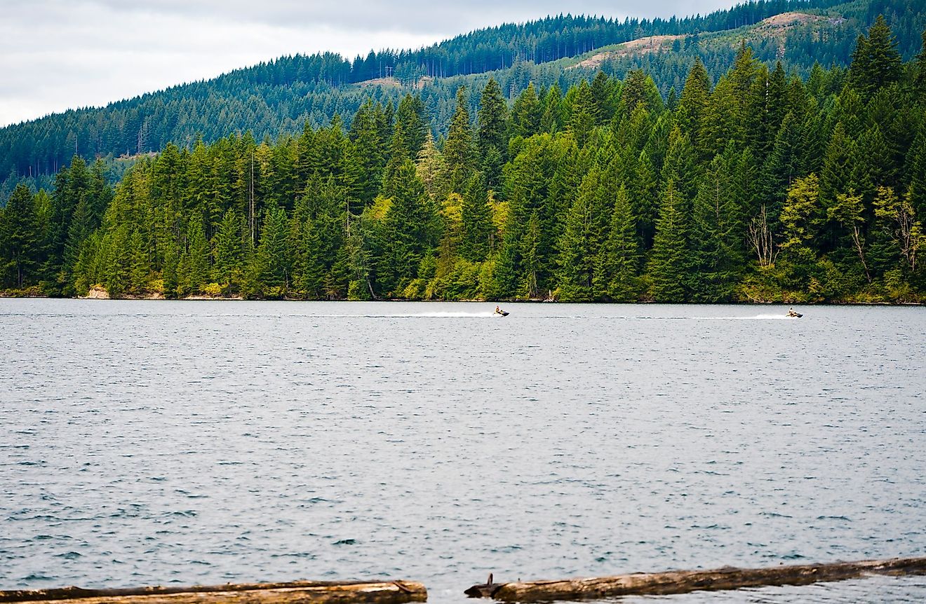 Picturesque mountain clear water deep Merwin Lake with evergreen coniferous forests on the mountains and the curvy shore