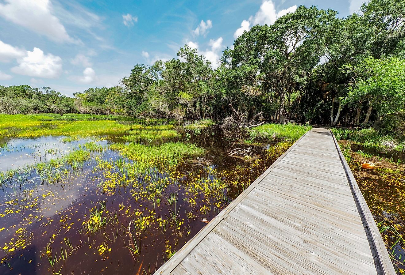 Braodwalk across wetlands in The William S Boylston Nature Trail in Myakka River State Park in Sarasota Florida in the United States