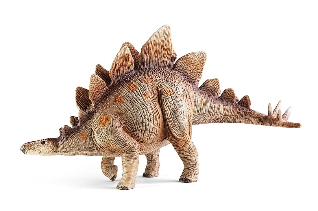 A 3D rendering of a stegosaurus. 