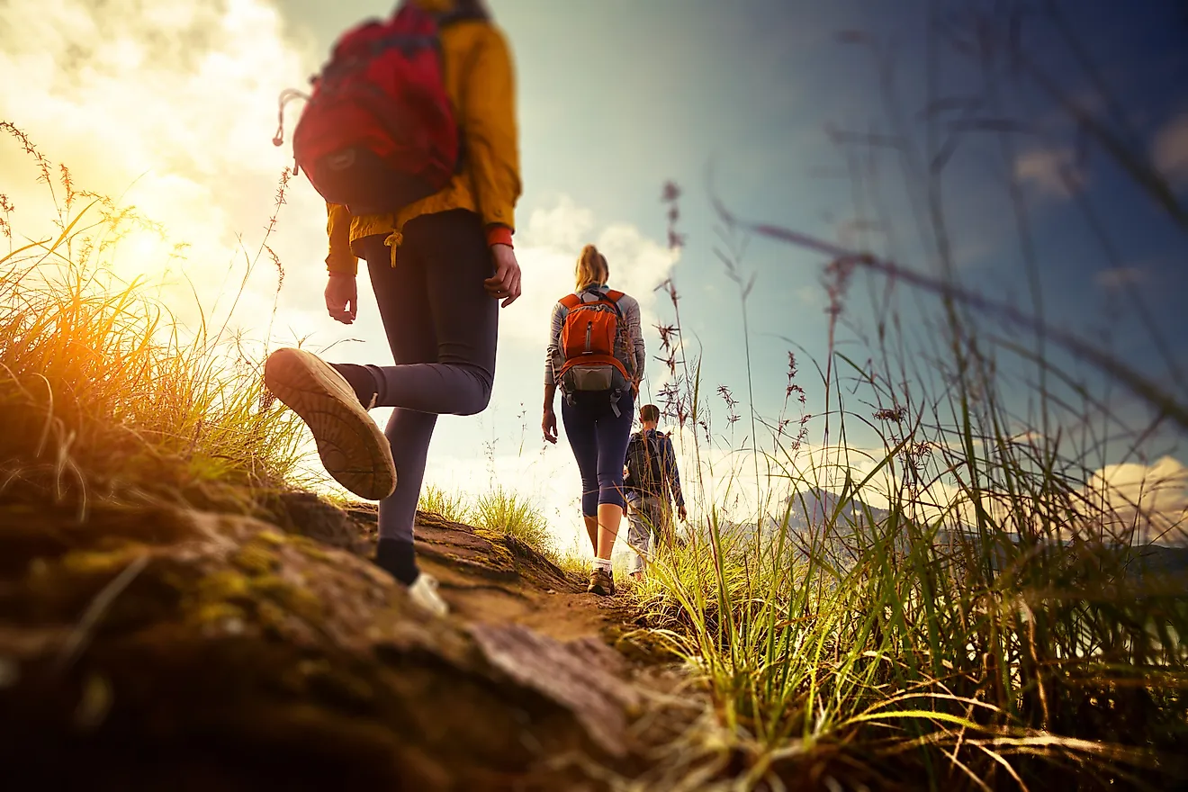 A group of hikers walking in the mountains.