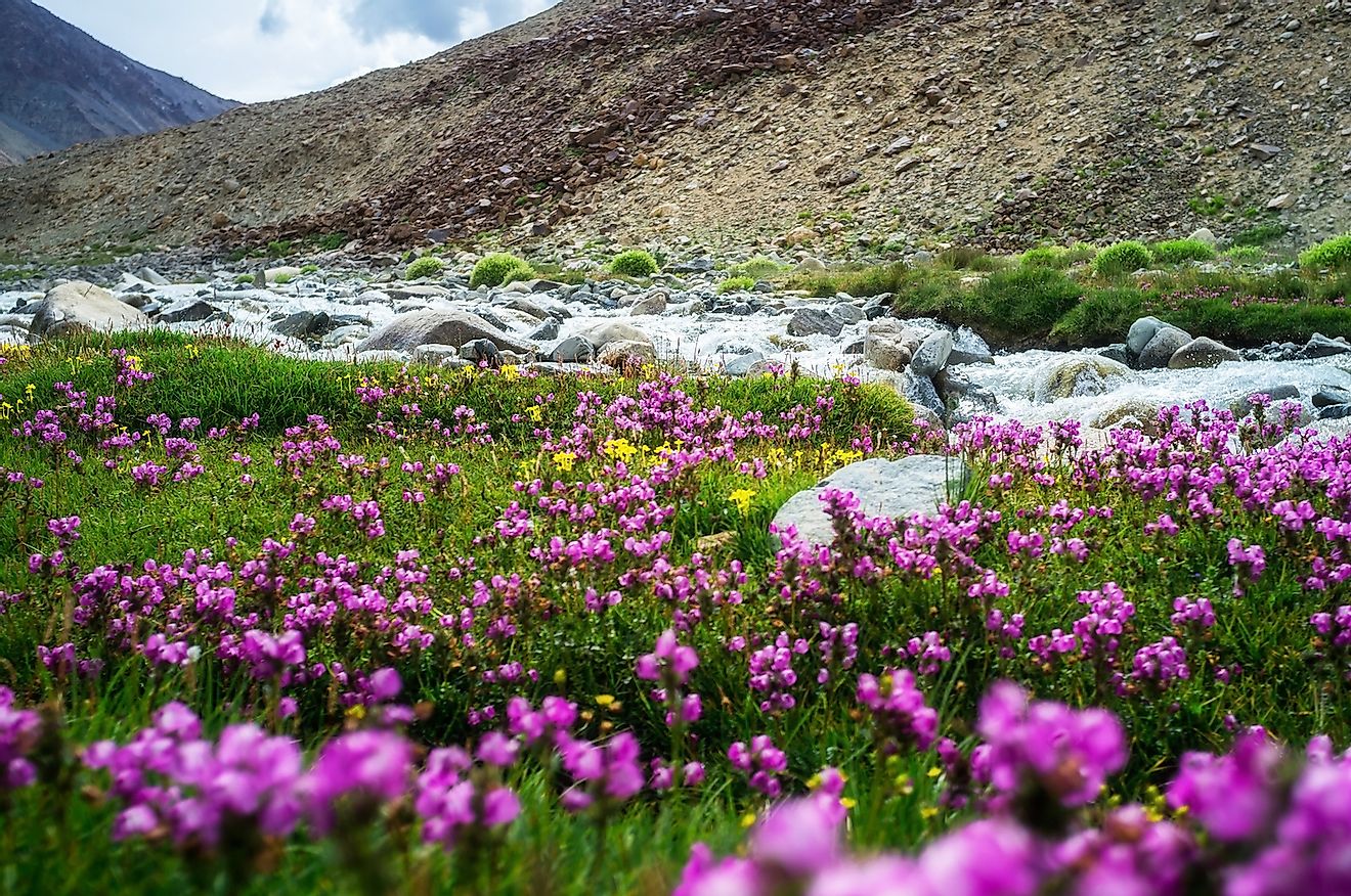 Natural landscape in Leh Ladakh, Jammu and Kashmir, India. Image credit: JAKKAPAN PRAMMANASIK/Shutterstock.com