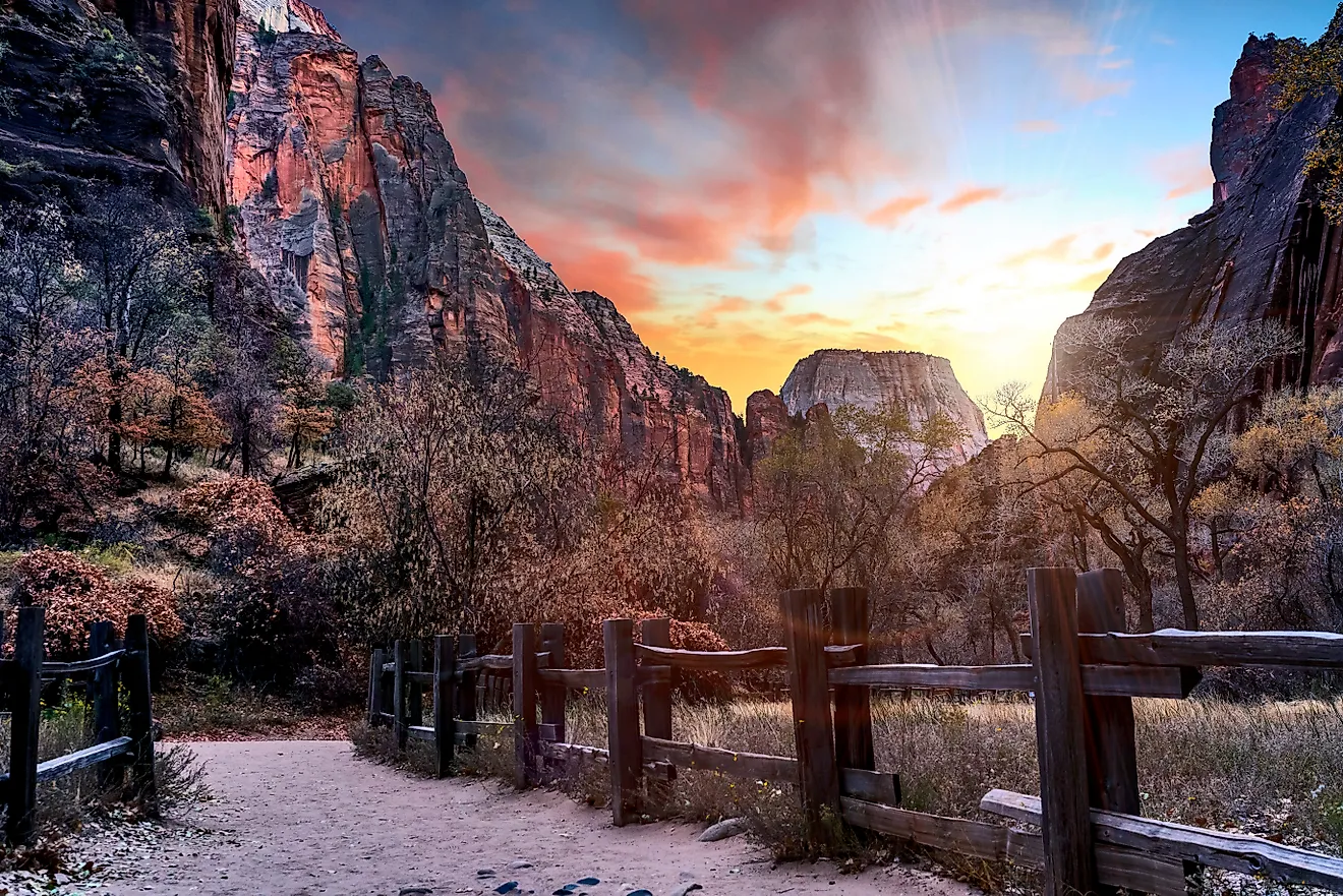 The sun setting over the mountains on a trail in Zion National Park, Springdale, Utah, USA