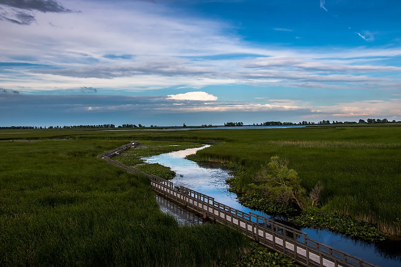 View of of the marsh and boardwalk in Point Pelee National Park, Ontario, Canada. 