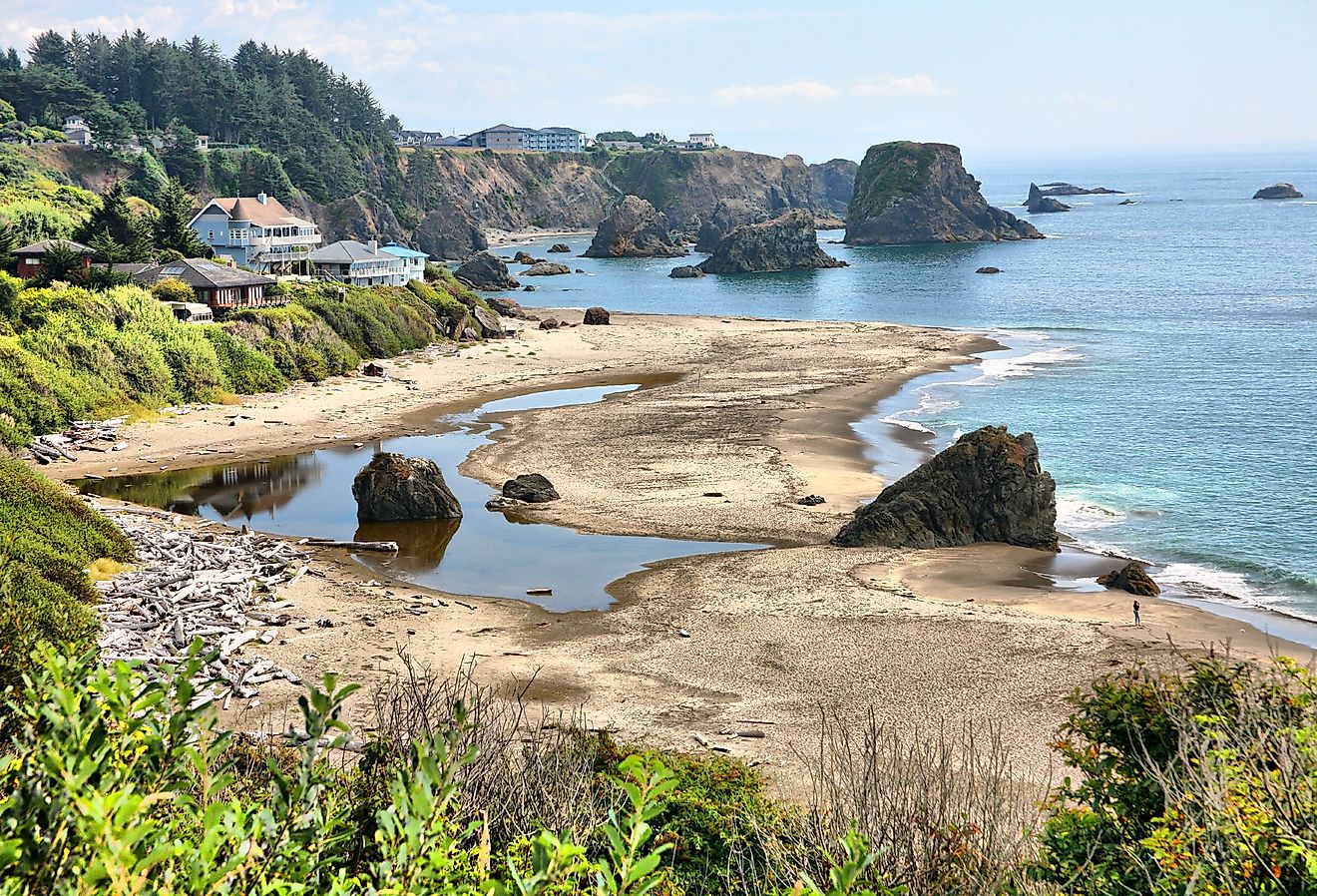 Looking out over the coast in Brookings, Oregon.