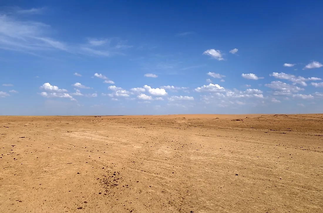 Signs of overgrazing in Kazakhstan. 