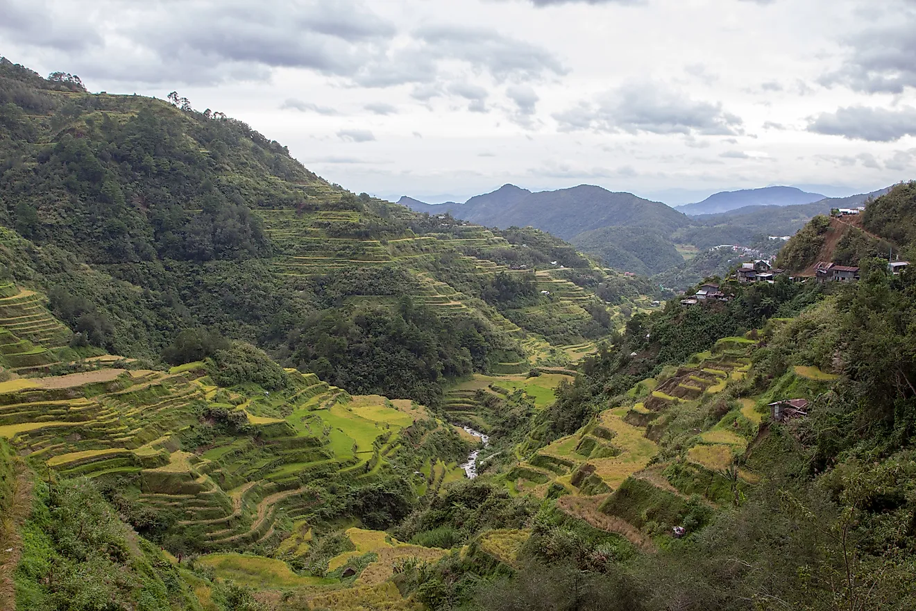 Breathtaking rice terraces in Batad, Banaue, Philippines