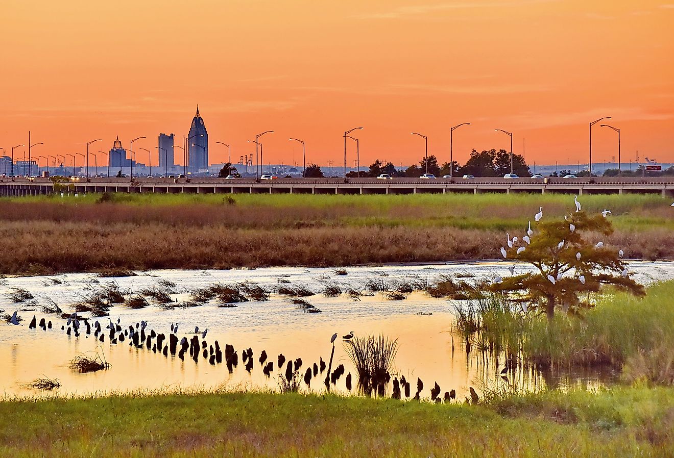 Sun setting over Mobile, Alabama skyline with busy Interstate traffic contrasted with the serenity of herons and egrets settling in for the evening on the Bay. Image credit Angie Carn via Shutterstock.