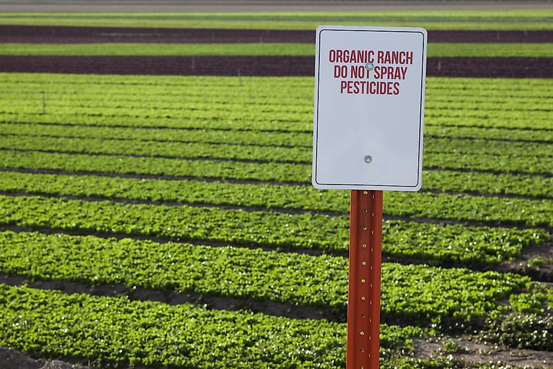Organic farm in California. 