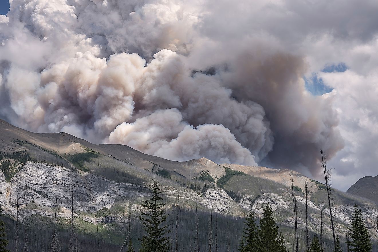 Forest fire smoke in Kootenay National Park, British Columbia, Canada. Image credit: James Gabbert/Shutterstock.com
