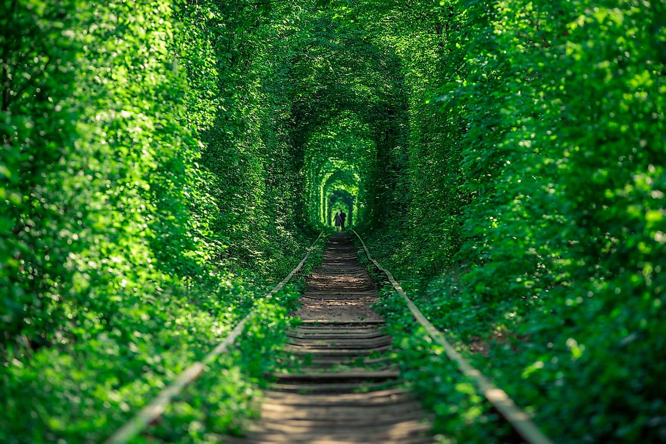 Tunnel of Love (Ukraine). Image credit: Ruslan Ivantsov/Shutterstock.com