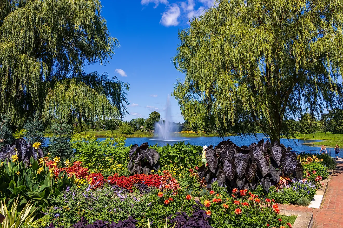 A beautiful summer landscape at Chicago Botanic Garden. 