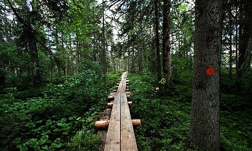 Pictures from Kuikan kierros nature trail at Petkeljärvi National Park in Ilomantsi, Finland.